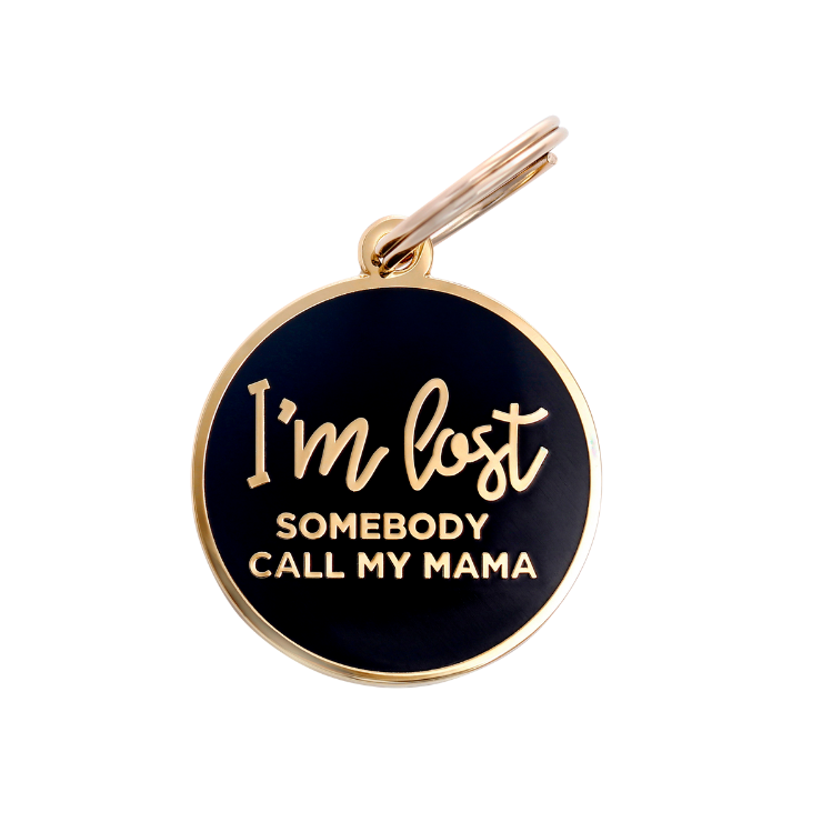 I'm Lost, Somebody Call My Mama Pet ID Tag: Navy / Gold