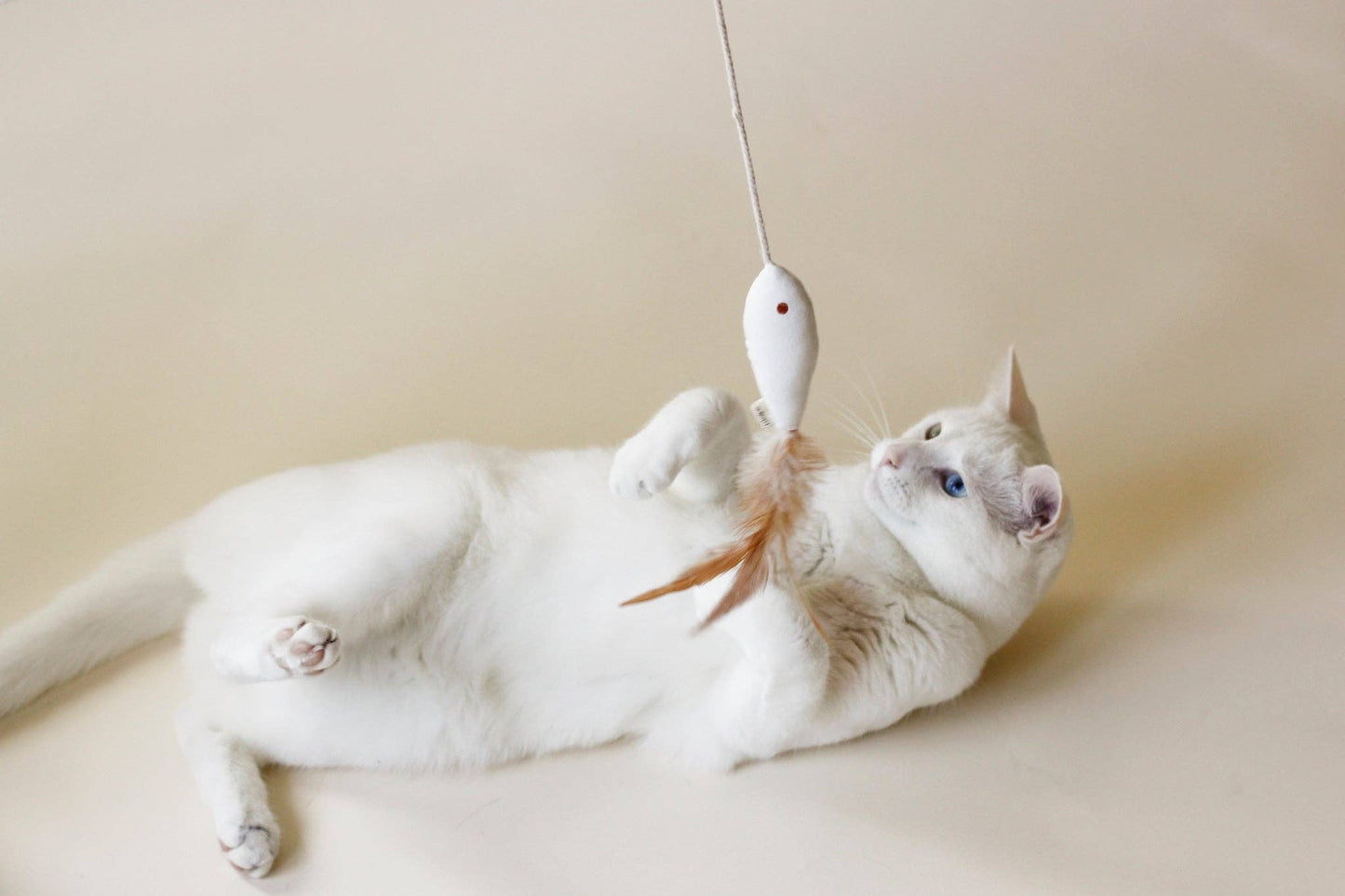Cat Toy Bundle - Indoor Fishing: White / Unique
