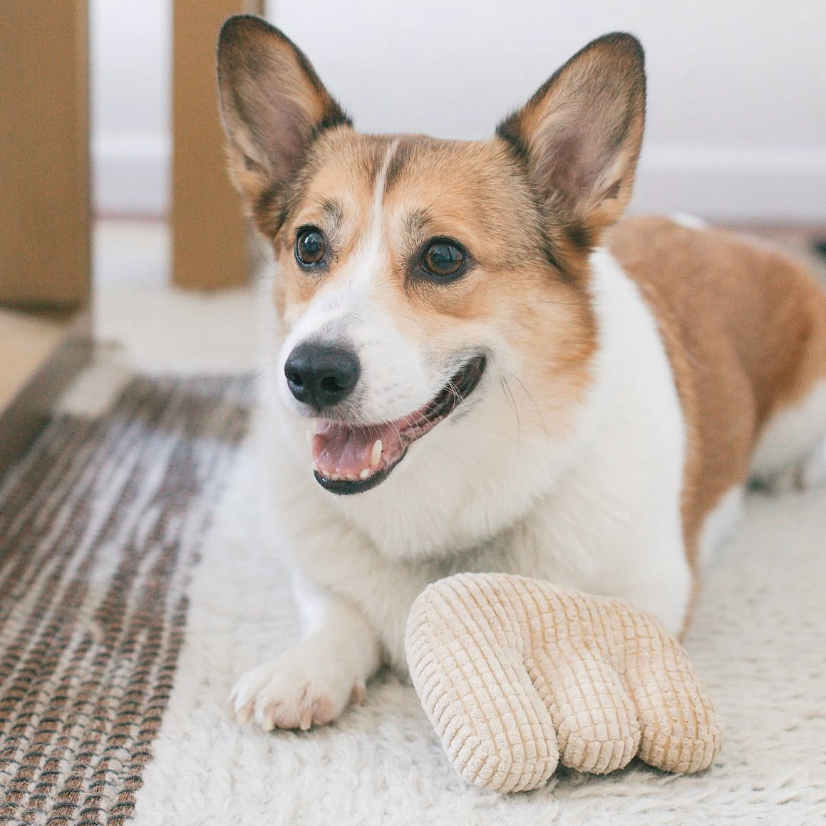 Em Plush Toy