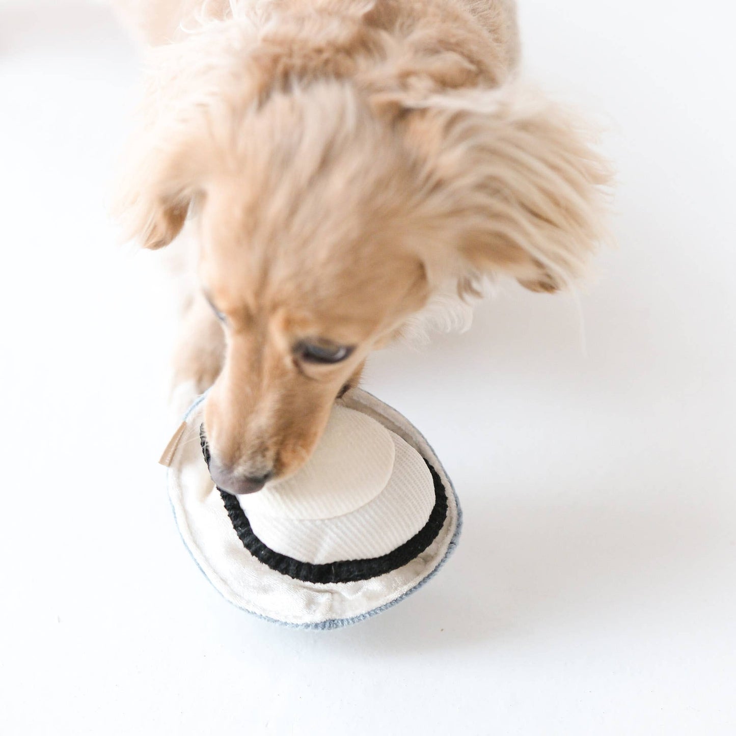 GILLARDEAU//ENRICHMENT DOG TOY