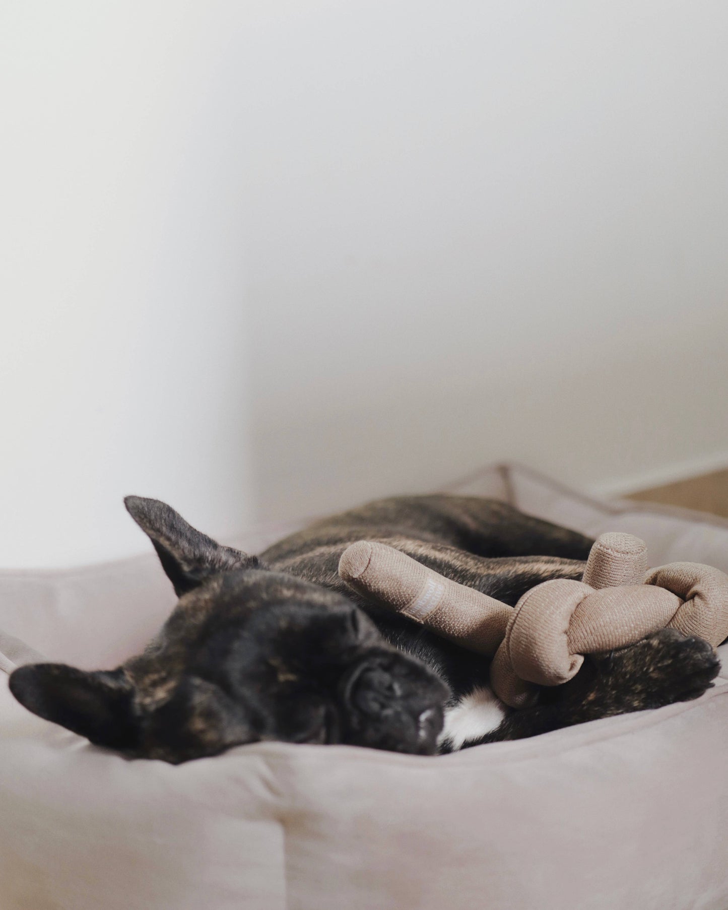 NOU//TAN//ENRICHMENT DOG TOY