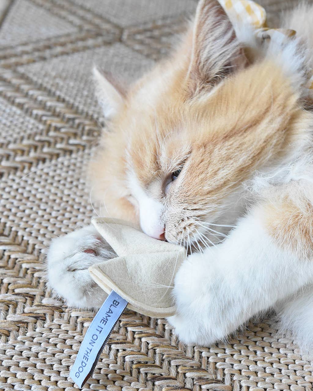 KITTY FORTUNE COOKIE