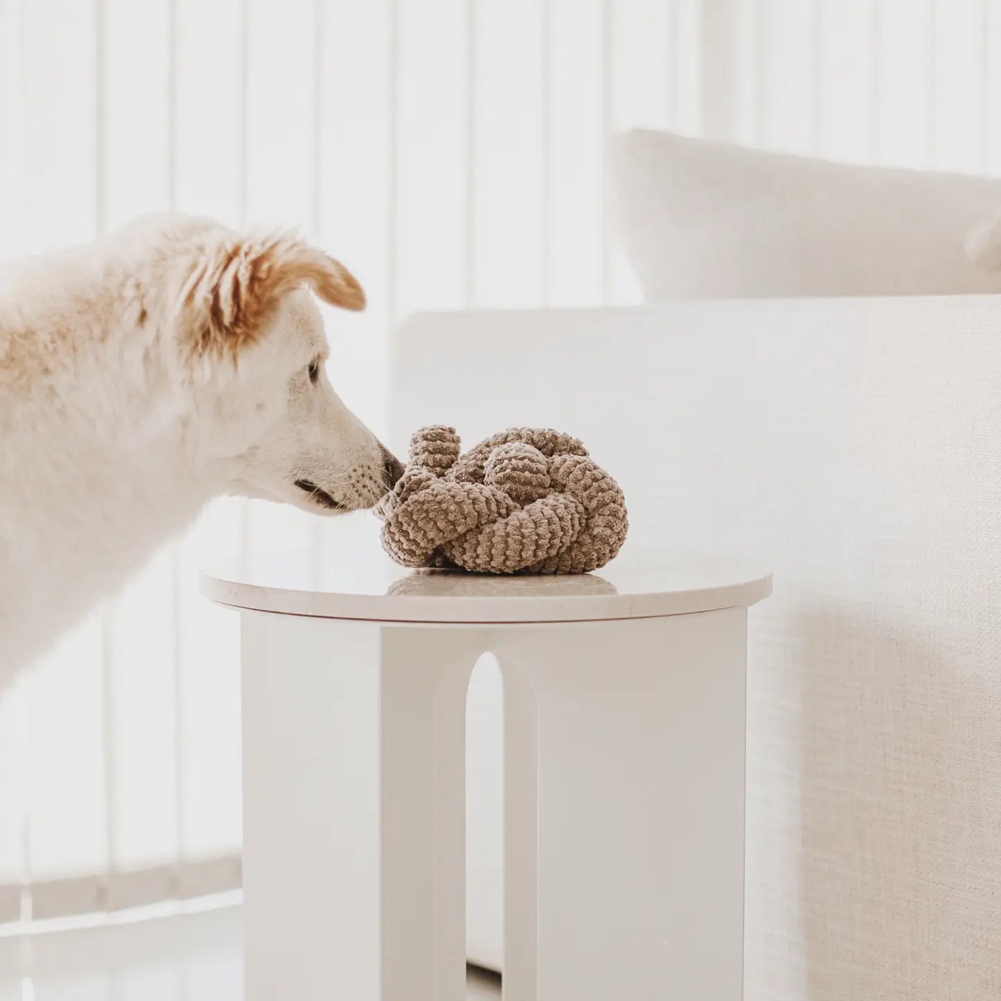 Lambwolf Nou Squeakers//Enrichment Dog Toy