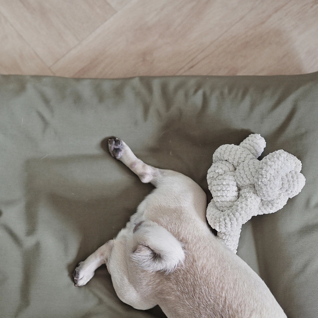 Lambwolf Nou Squeakers//Enrichment Dog Toy