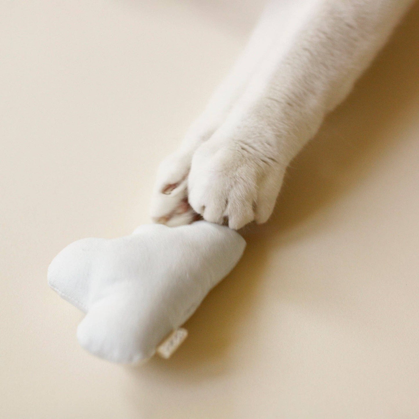 Cat Toy Bundle - Indoor Fishing: White / Unique