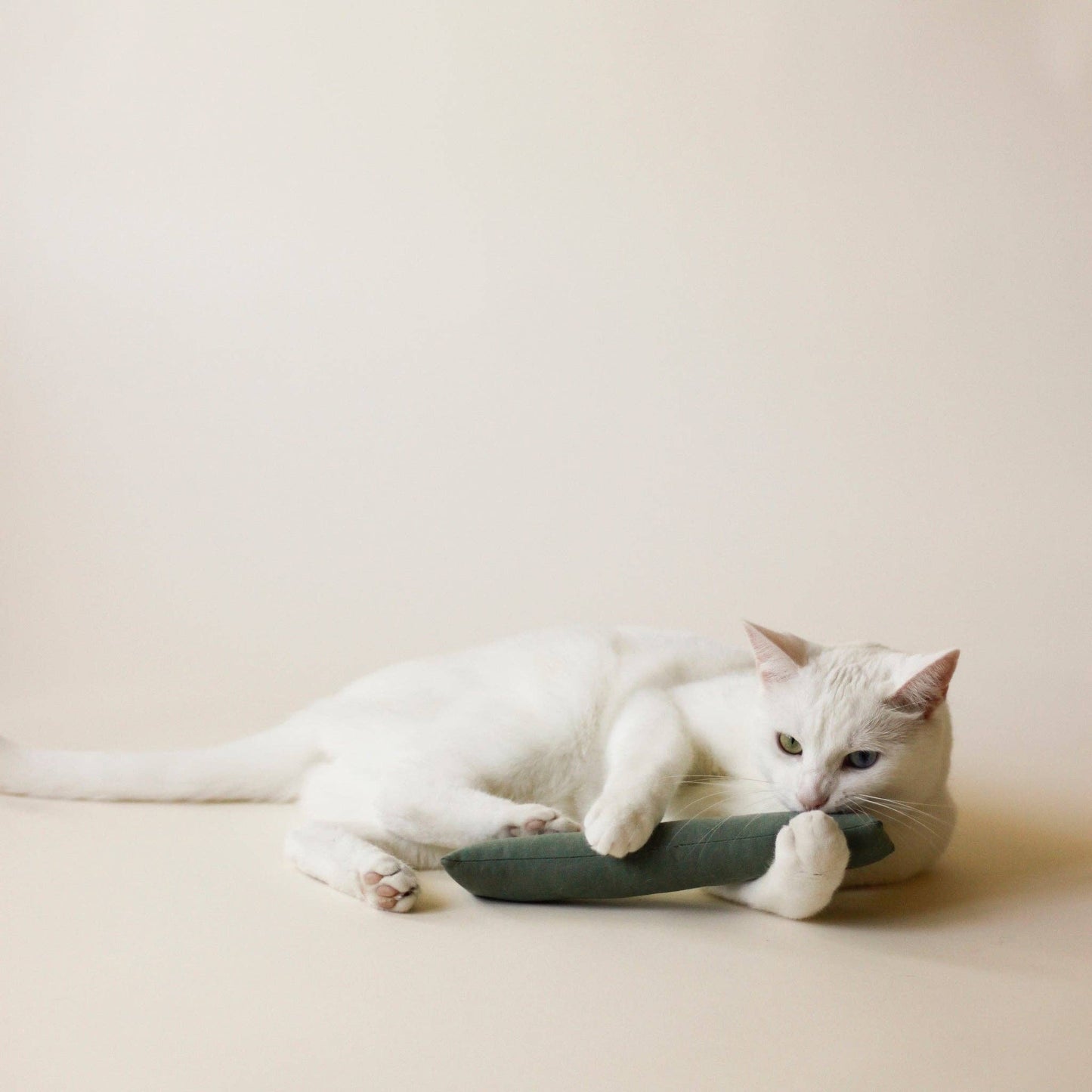 Cat Toy Essential: Green / Unique