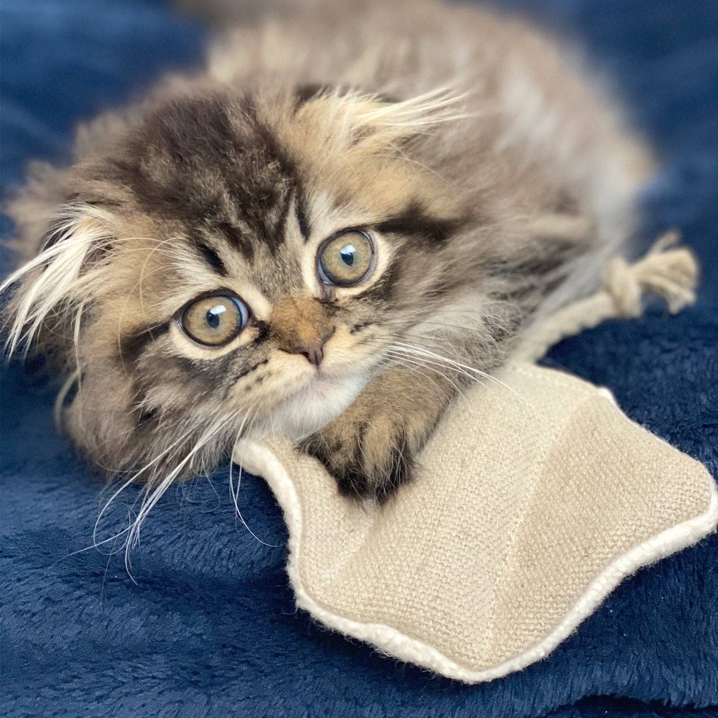 Stingray Cat Toy with Catnip - Hemp and Cotton - USA Made