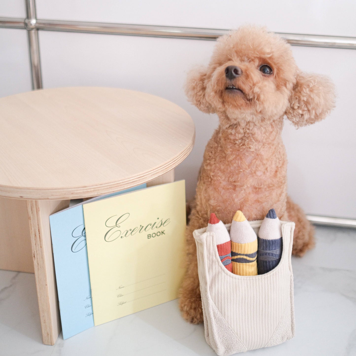 CRAYONS//ENRICHMENT DOG TOY