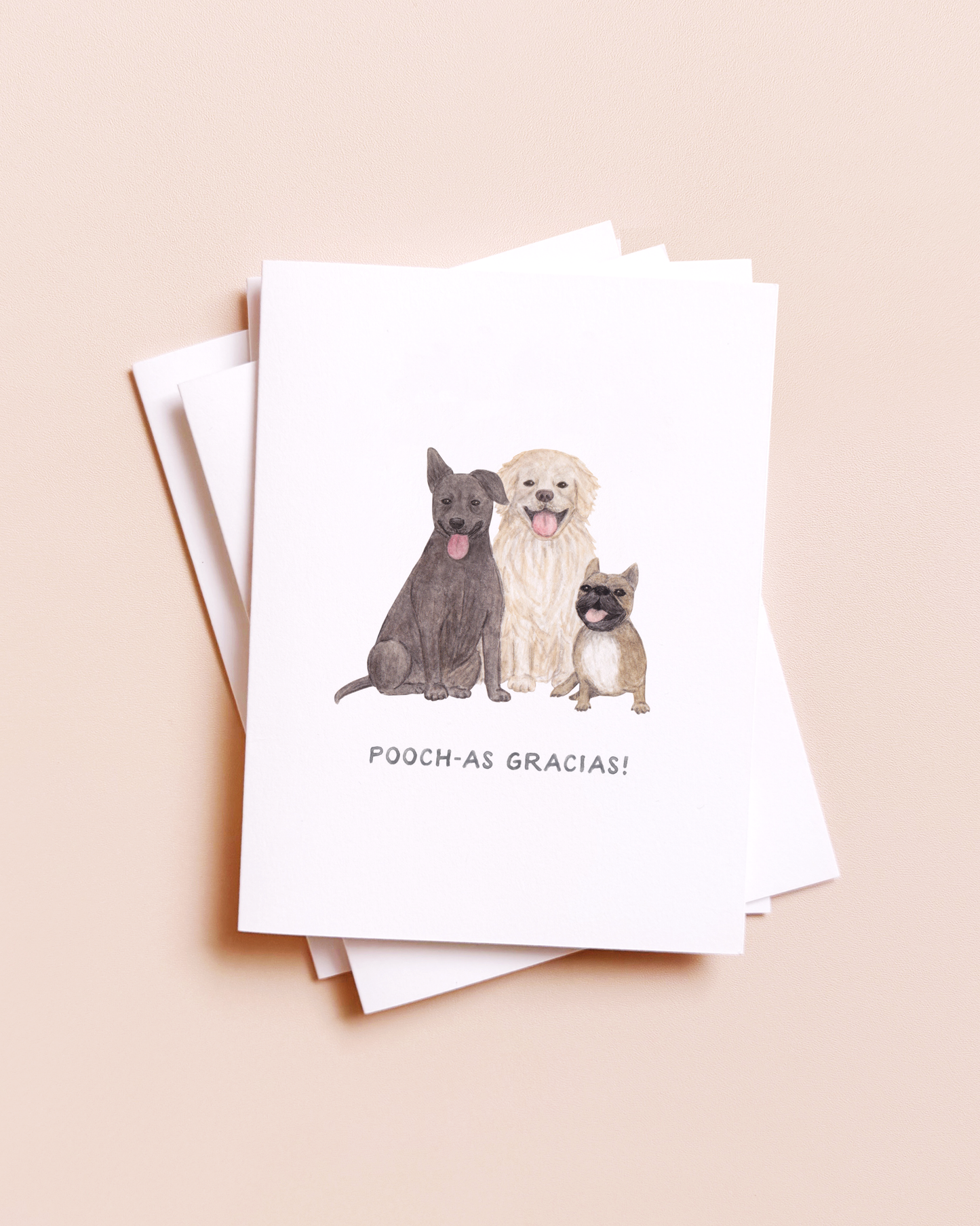 Pooch-as Gracias — Spanish Pun Thank You Card