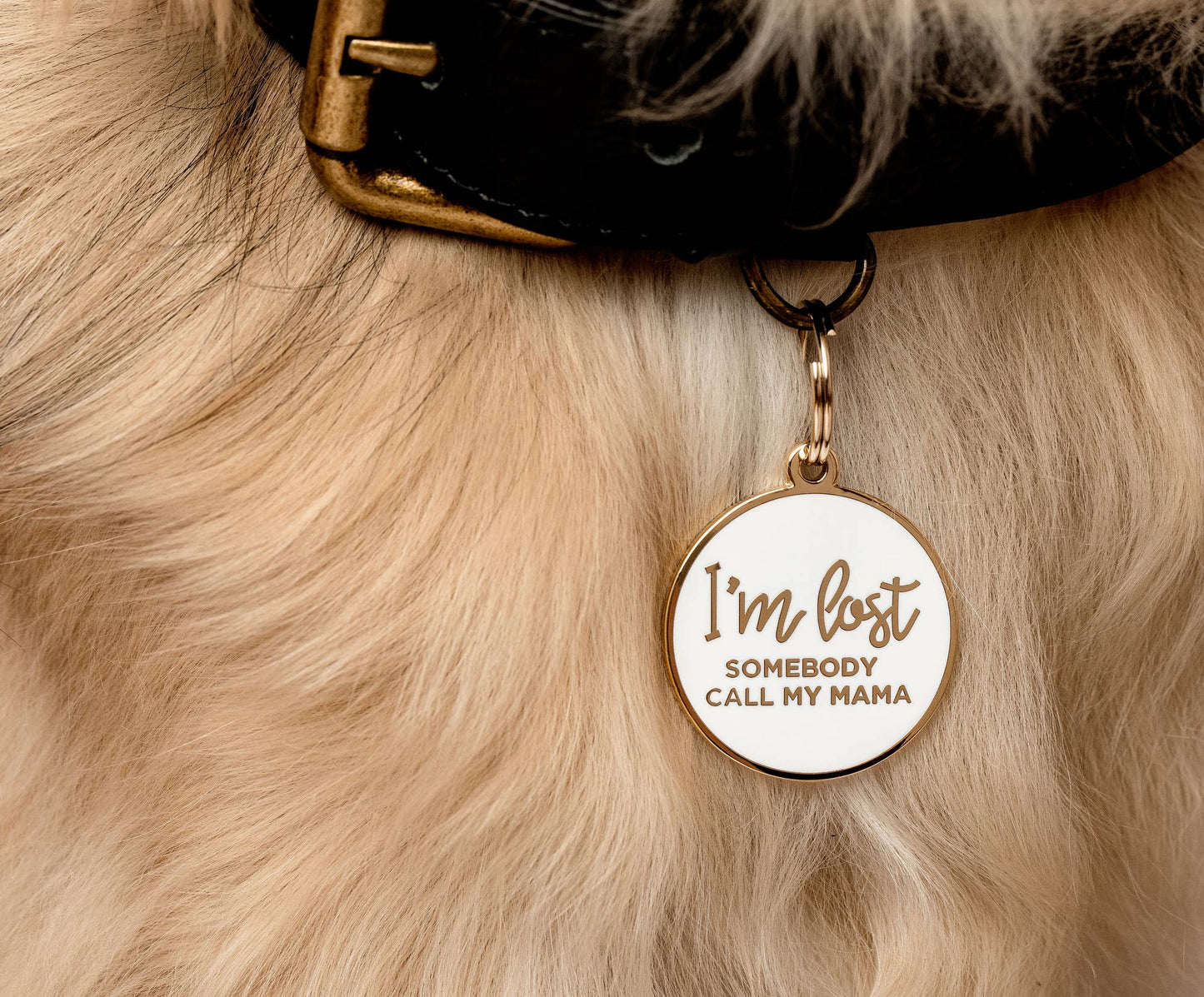 I'm Lost, Somebody Call My Mama Pet ID Tag: Navy / Gold