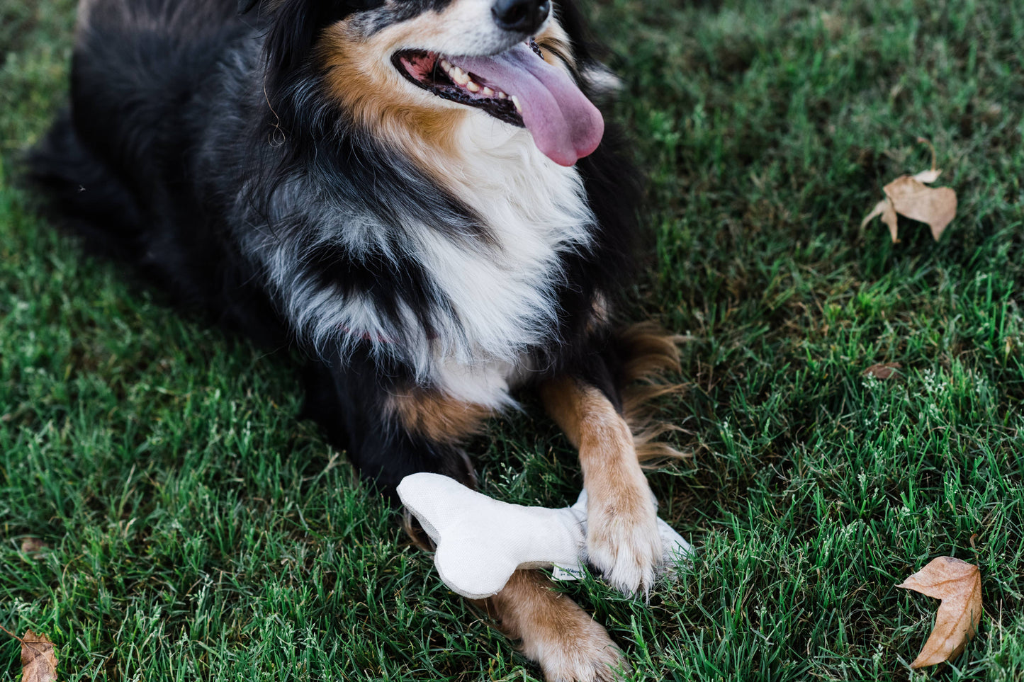 Soft Plush Dog Bone Toy for Gentle Chewers | Hemp and Cotton: Off-White