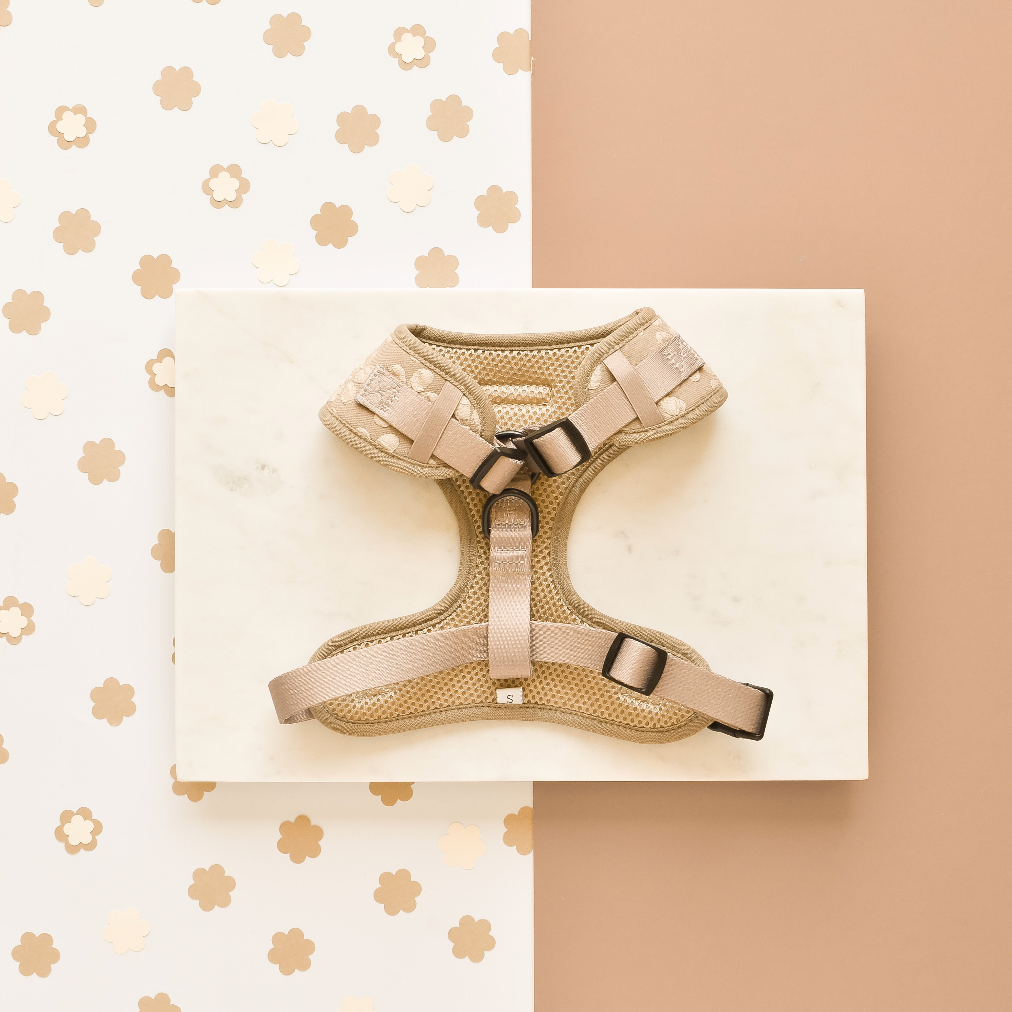 LUXE Adjustable Neck Harness - Mocha Flower