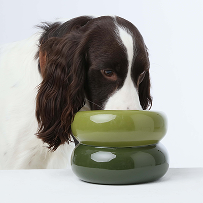 Soufflé Pet Bowl - Avocado Green