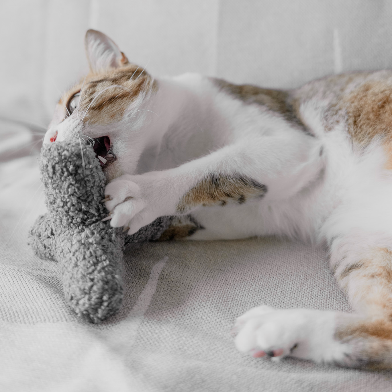 KITTY BREUER//CAT TOY: CONCRETE