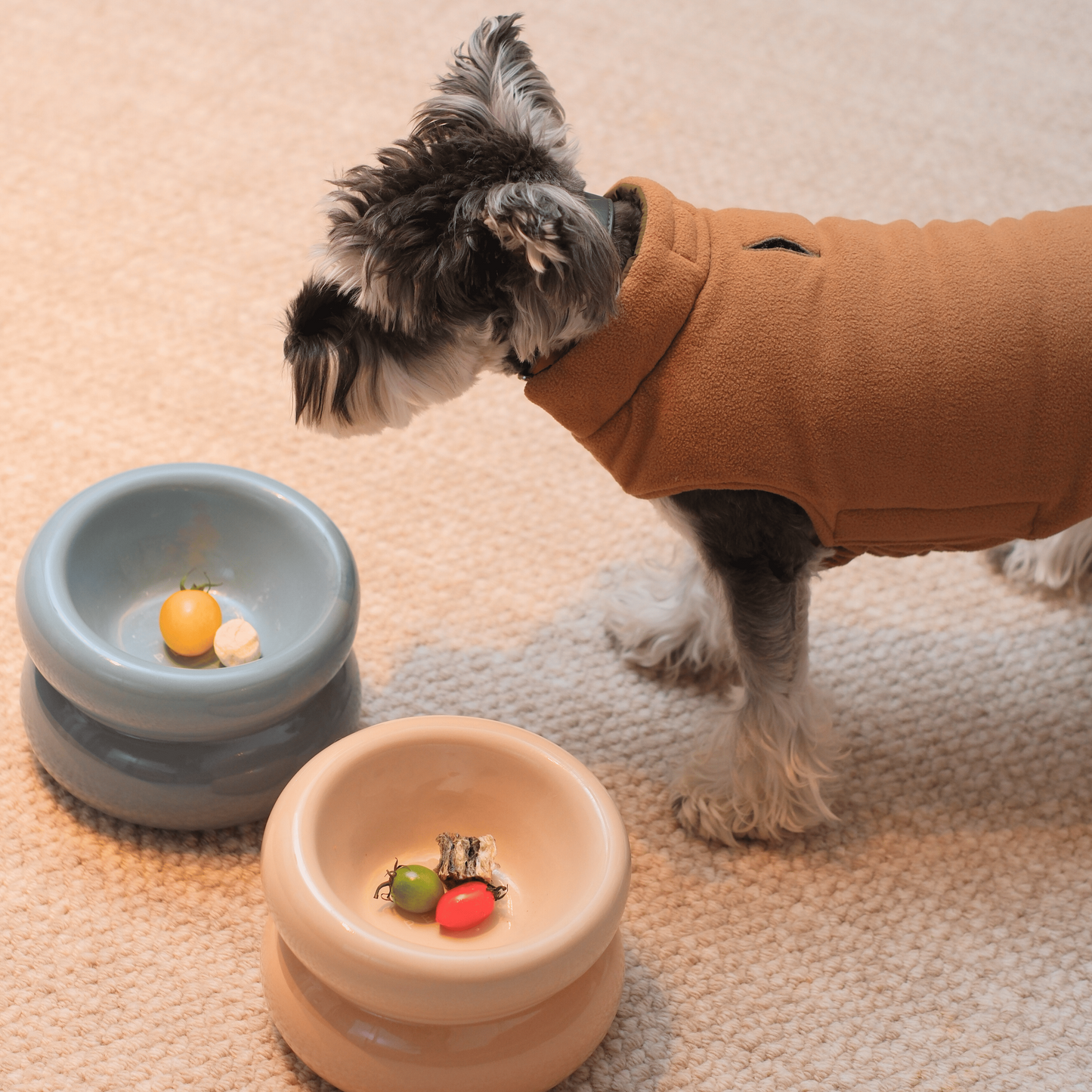 Soufflé Pet Bowl - Cream Beige