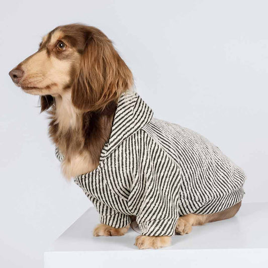 Silver Striped Dog Hoodie
