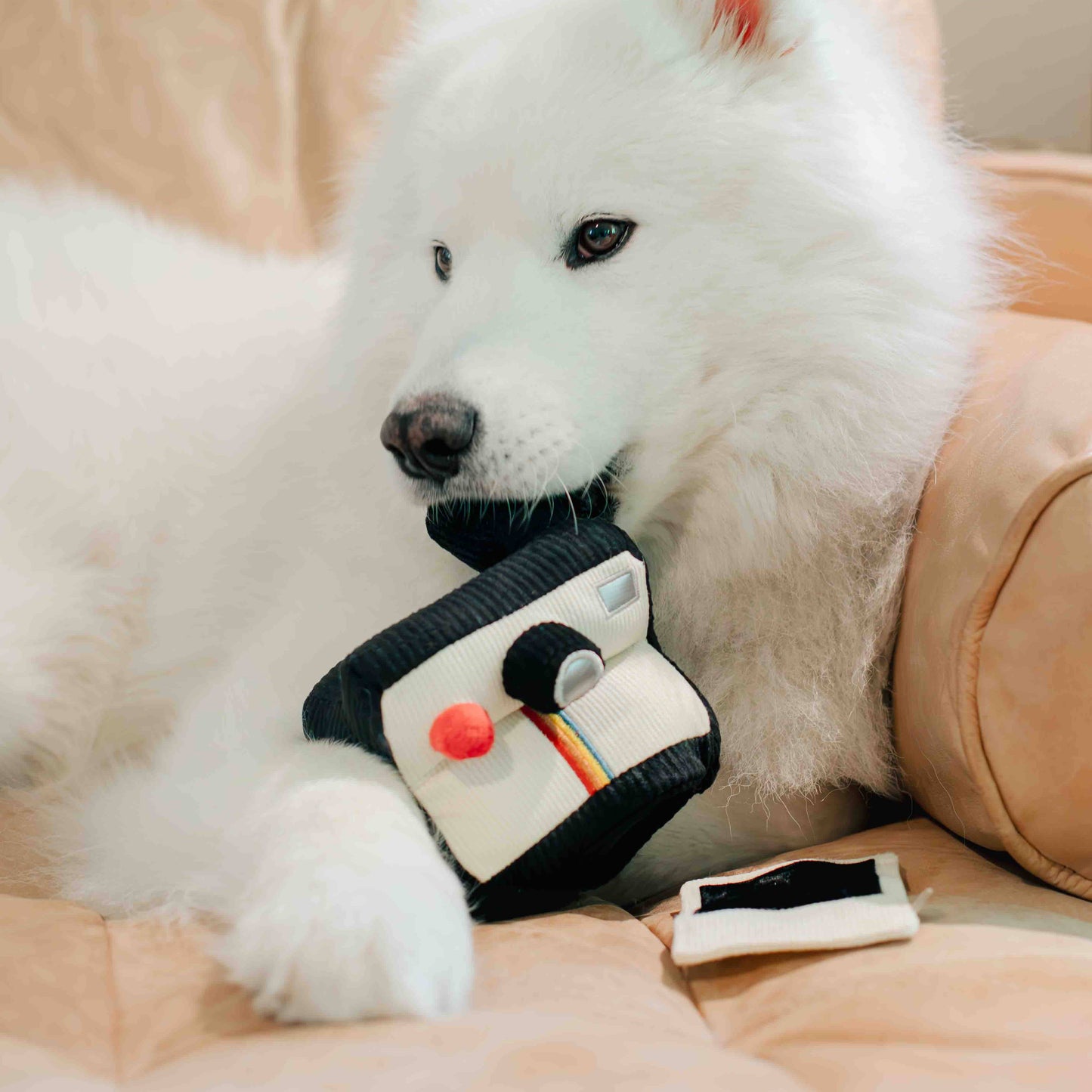 INSTANT CAMERA // ENRICHMENT DOG TOY // SNUFFLE TOY