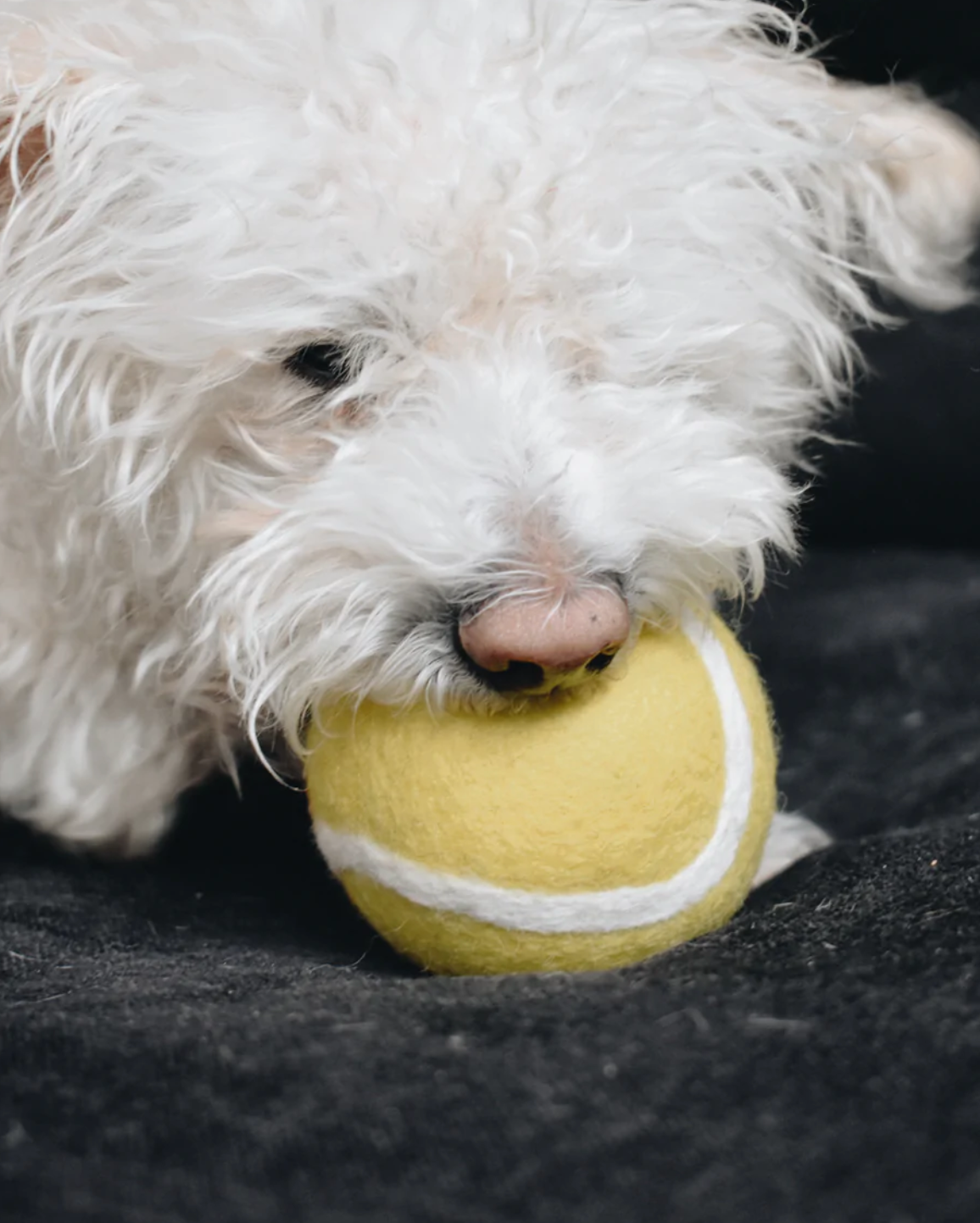 Large Gray Wool Tennis Ball