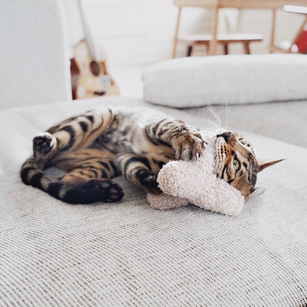 KITTY BREUER//CAT TOY: CONCRETE