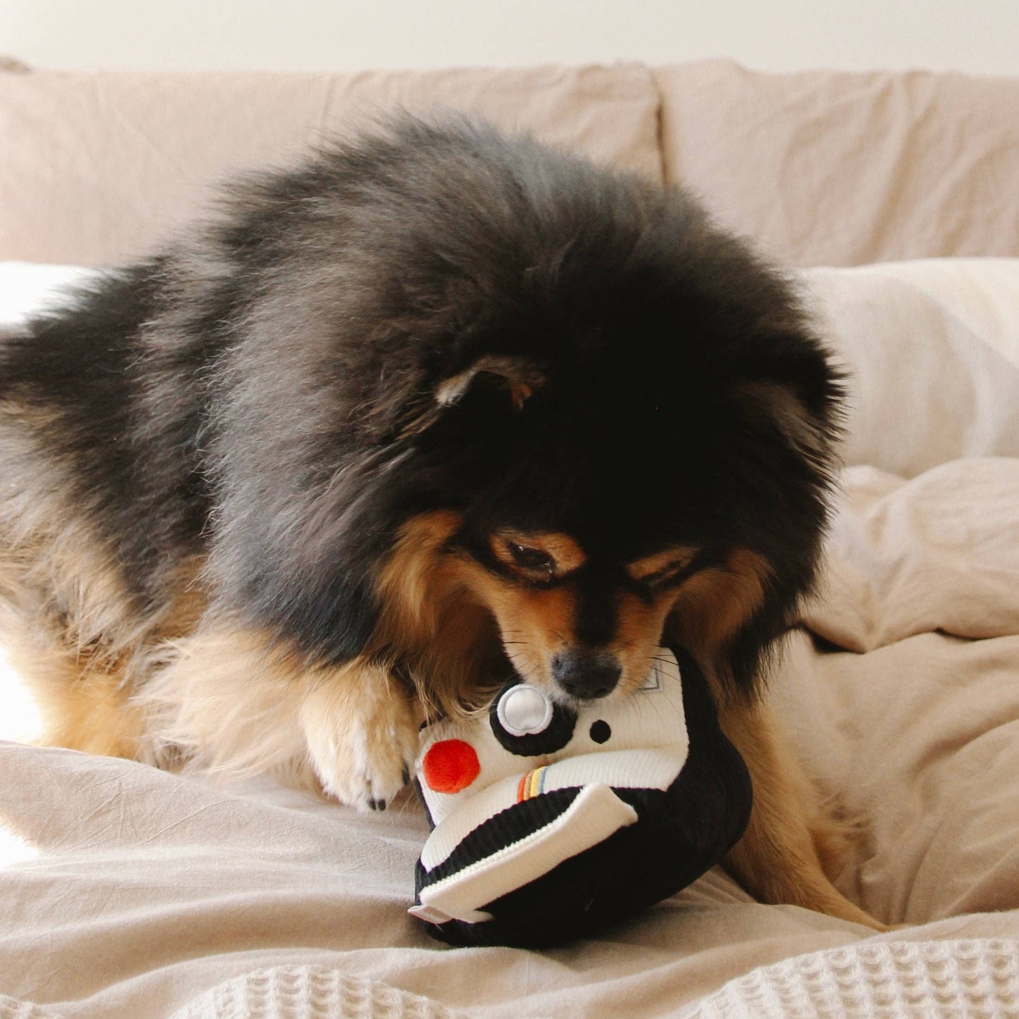 INSTANT CAMERA // ENRICHMENT DOG TOY // SNUFFLE TOY