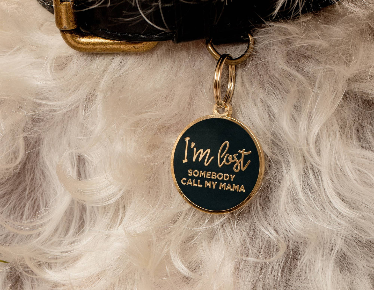 I'm Lost, Somebody Call My Mama Pet ID Tag: Navy / Gold