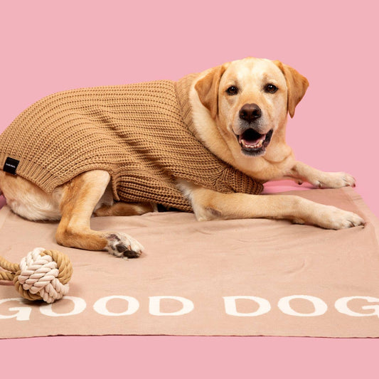 Dog Cozy Blanket