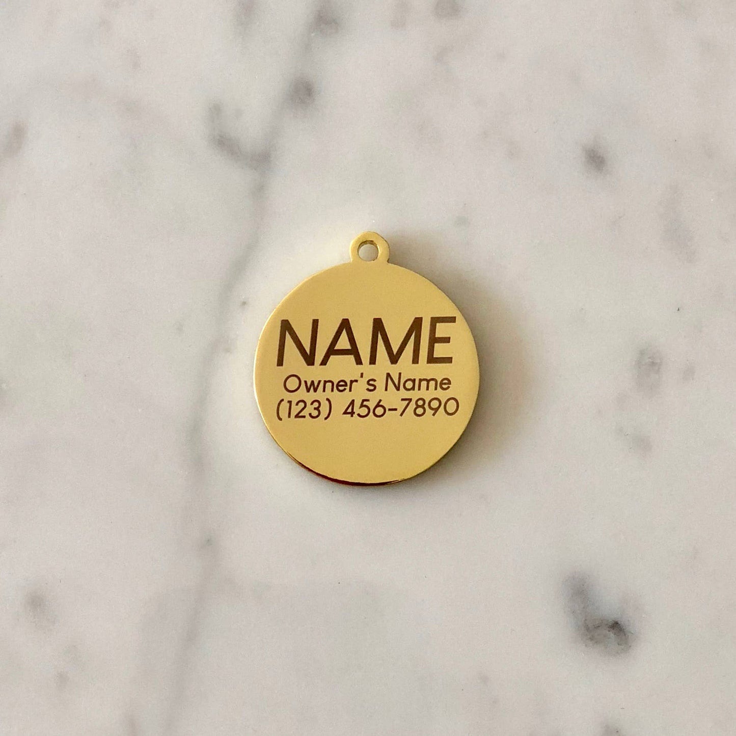 That is So Fetch Pet ID Tag