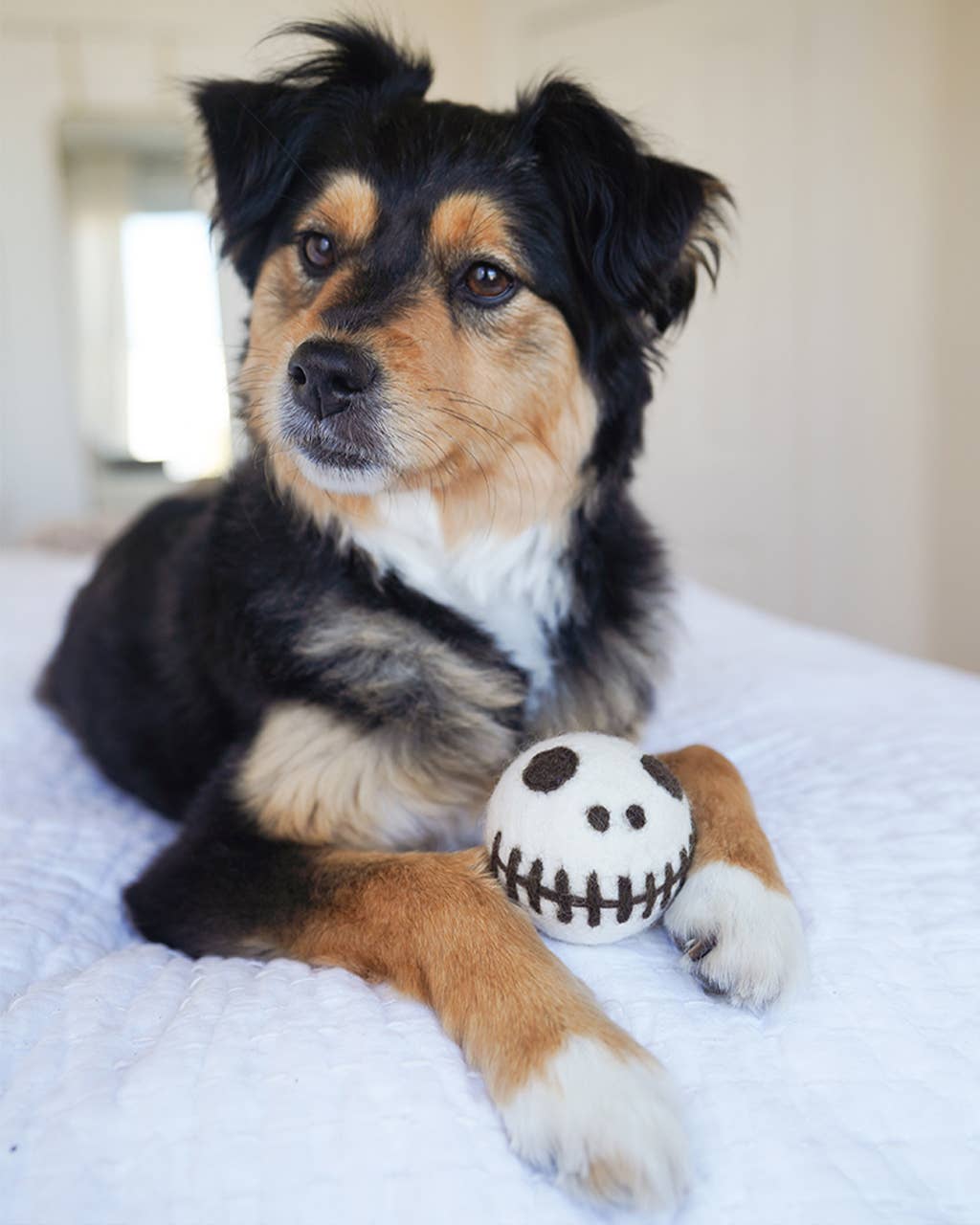 SKELETON BEASTBALL: Thick Detail