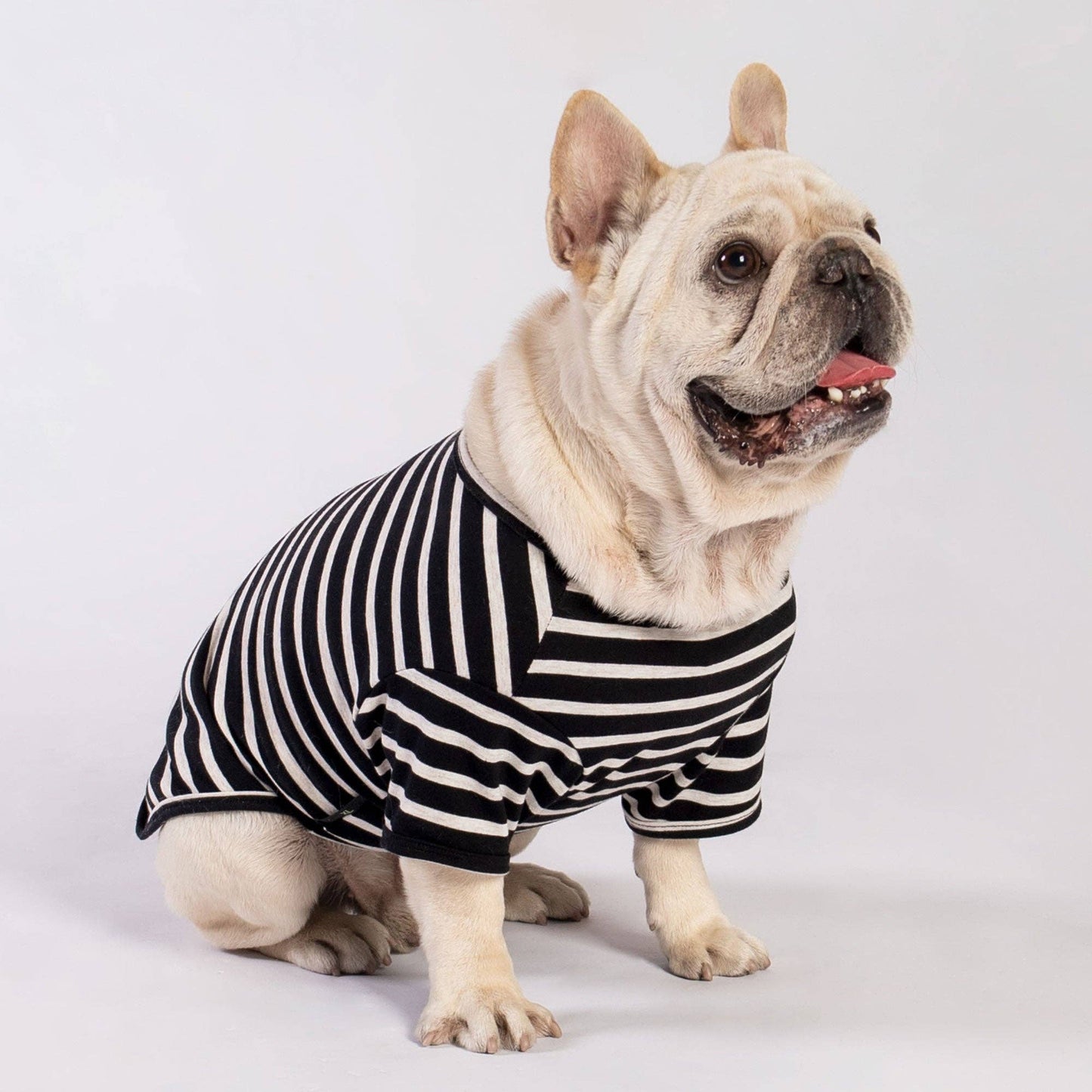 3 Pack Color Block Striped Shirt
