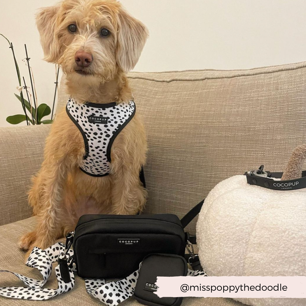 Monochrome Spots Adjustable Neck Harness