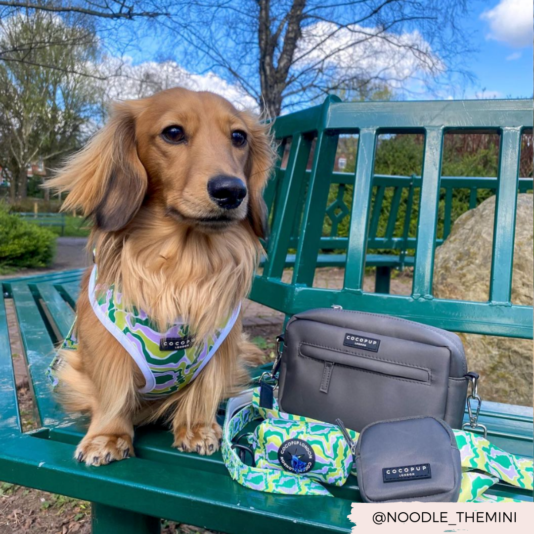 Dog Walking Bag - Mocha