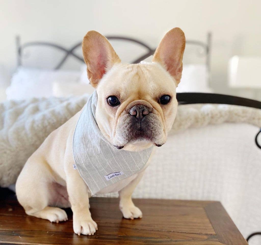 Gray Striped Dog Bandana