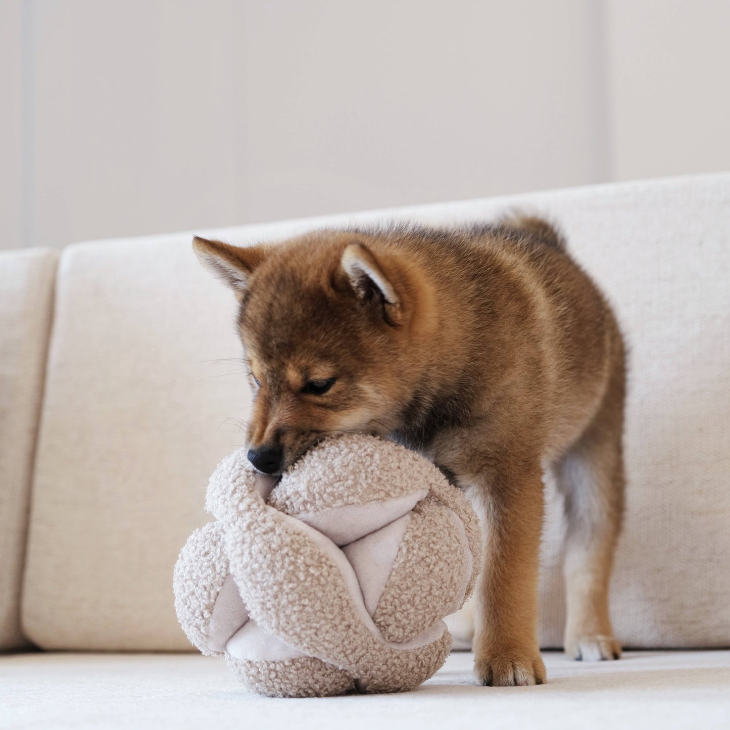 MONTI//ENRICHMENT DOG TOY: Oat