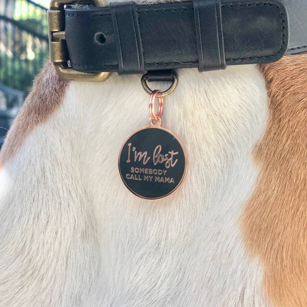 I'm Lost, Somebody Call My Mama Pet ID Tag: Navy / Gold