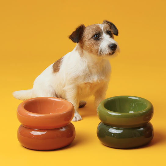 Soufflé Pet Bowl - Frozen Blue