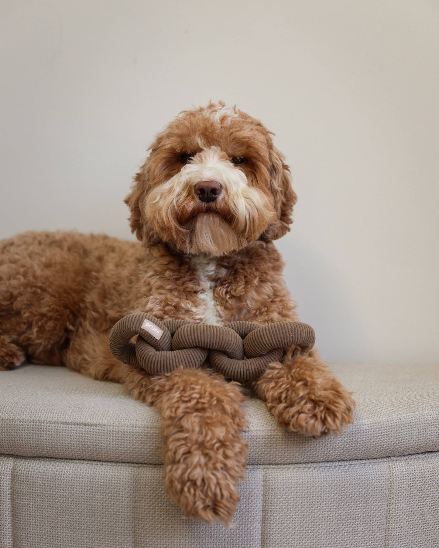 Many Links Plush Toy