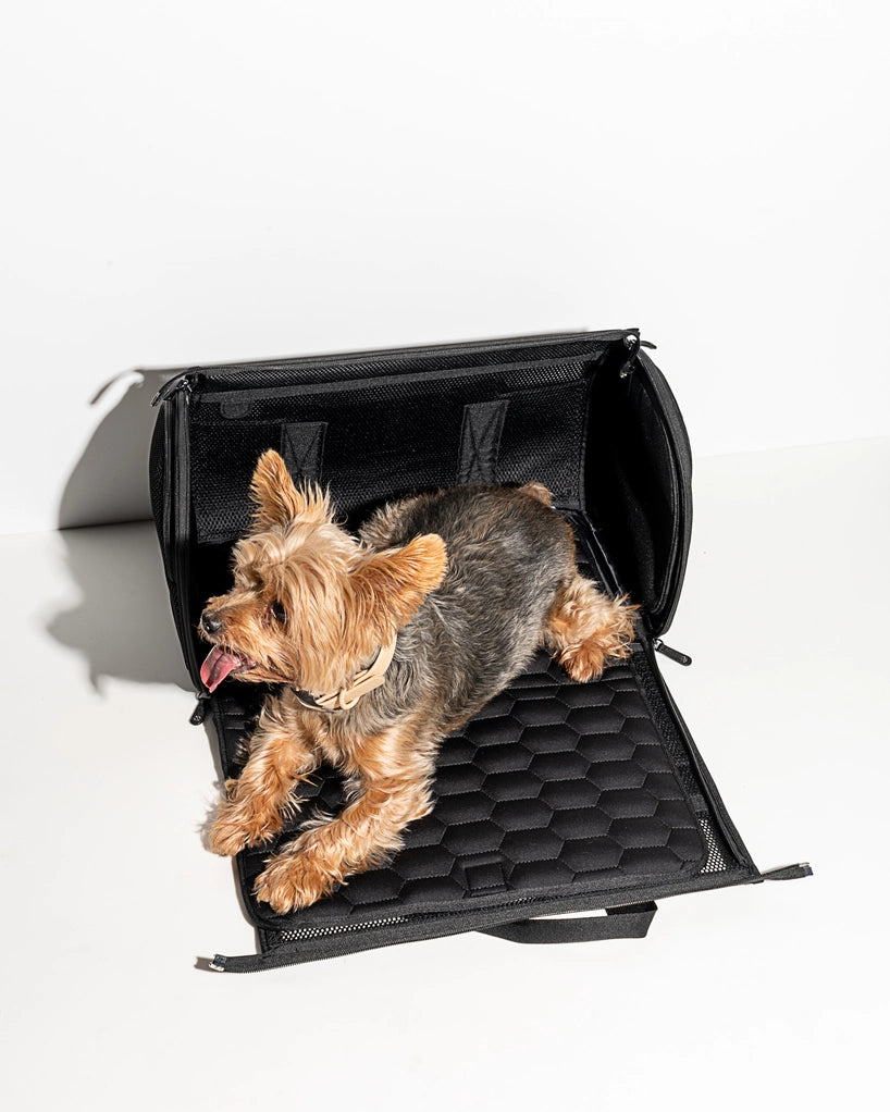 Wild One Travel TSA Compliant Pet Dog Carrier