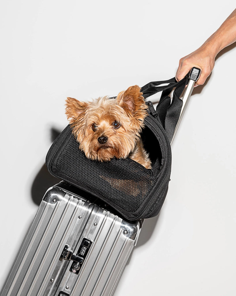 Wild One Travel TSA Compliant Pet Dog Carrier