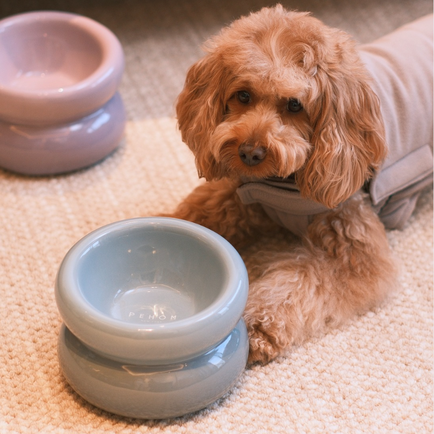 Soufflé Pet Bowl - Frozen Blue
