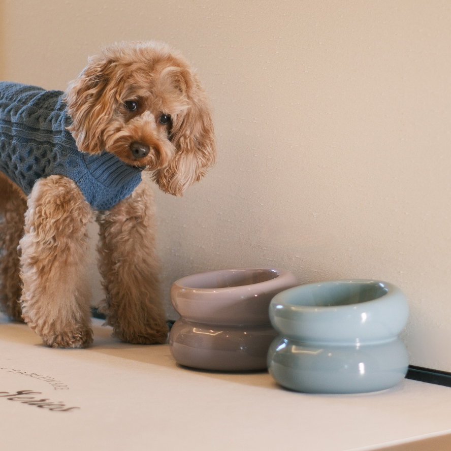 Soufflé Pet Bowl - Frozen Blue