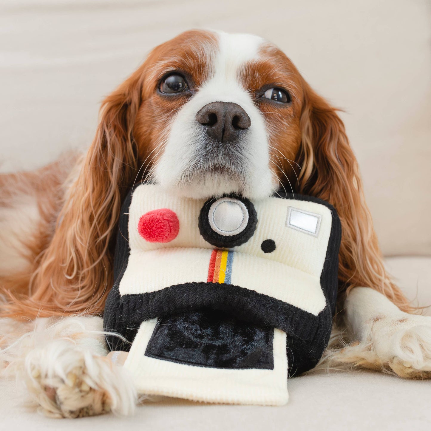 INSTANT CAMERA // ENRICHMENT DOG TOY // SNUFFLE TOY