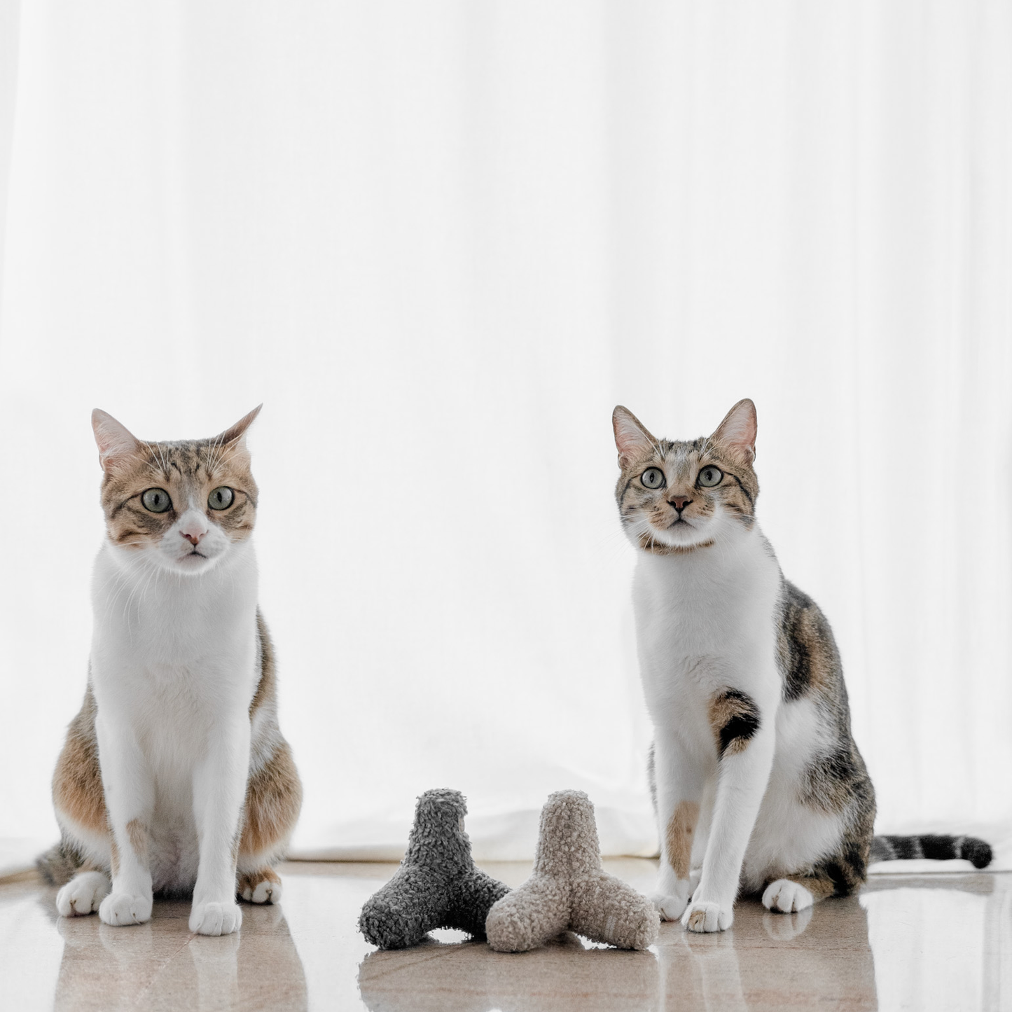 KITTY BREUER//CAT TOY: CONCRETE