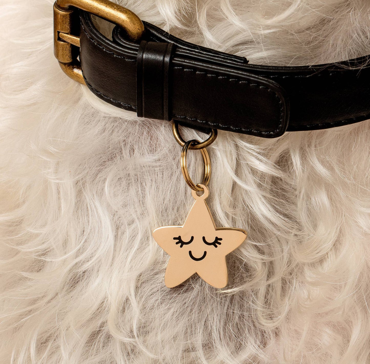 COMING SOON! Smiling Star Pet ID Tag