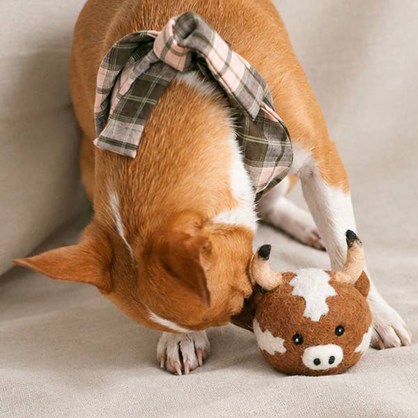TEXAS LONGHORN BEASTBALL WOOL DOG TOY