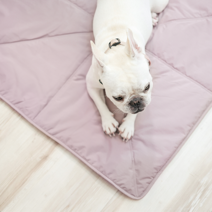 ORII | ultralight pet travel mat//DOG MAT: Koala