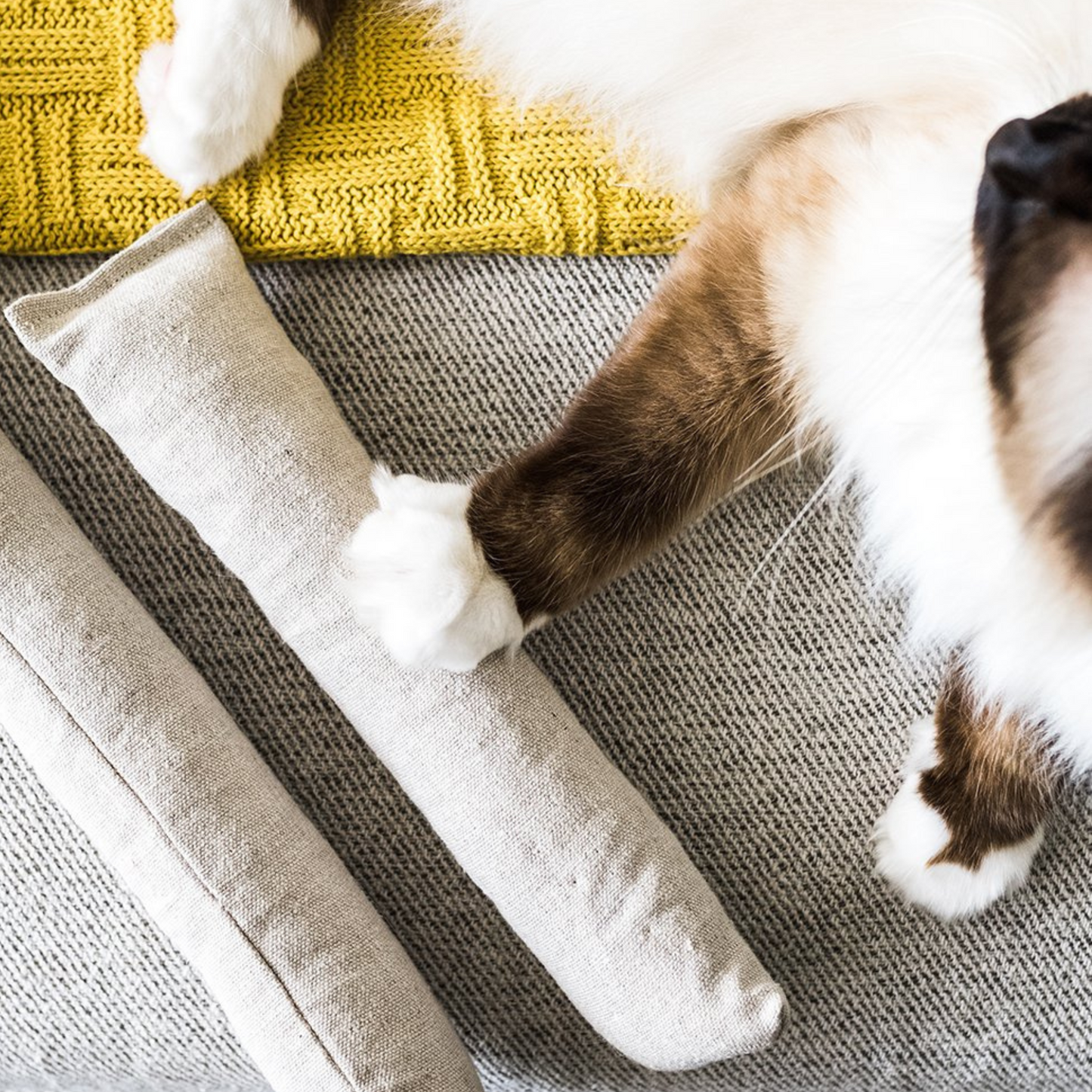Boba & Vespa Cat Kicker Toy for Bunny Kicks