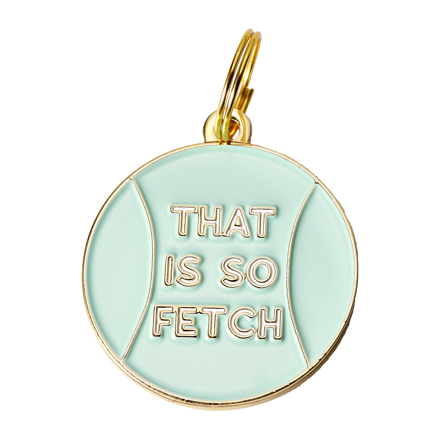 That is So Fetch Pet ID Tag
