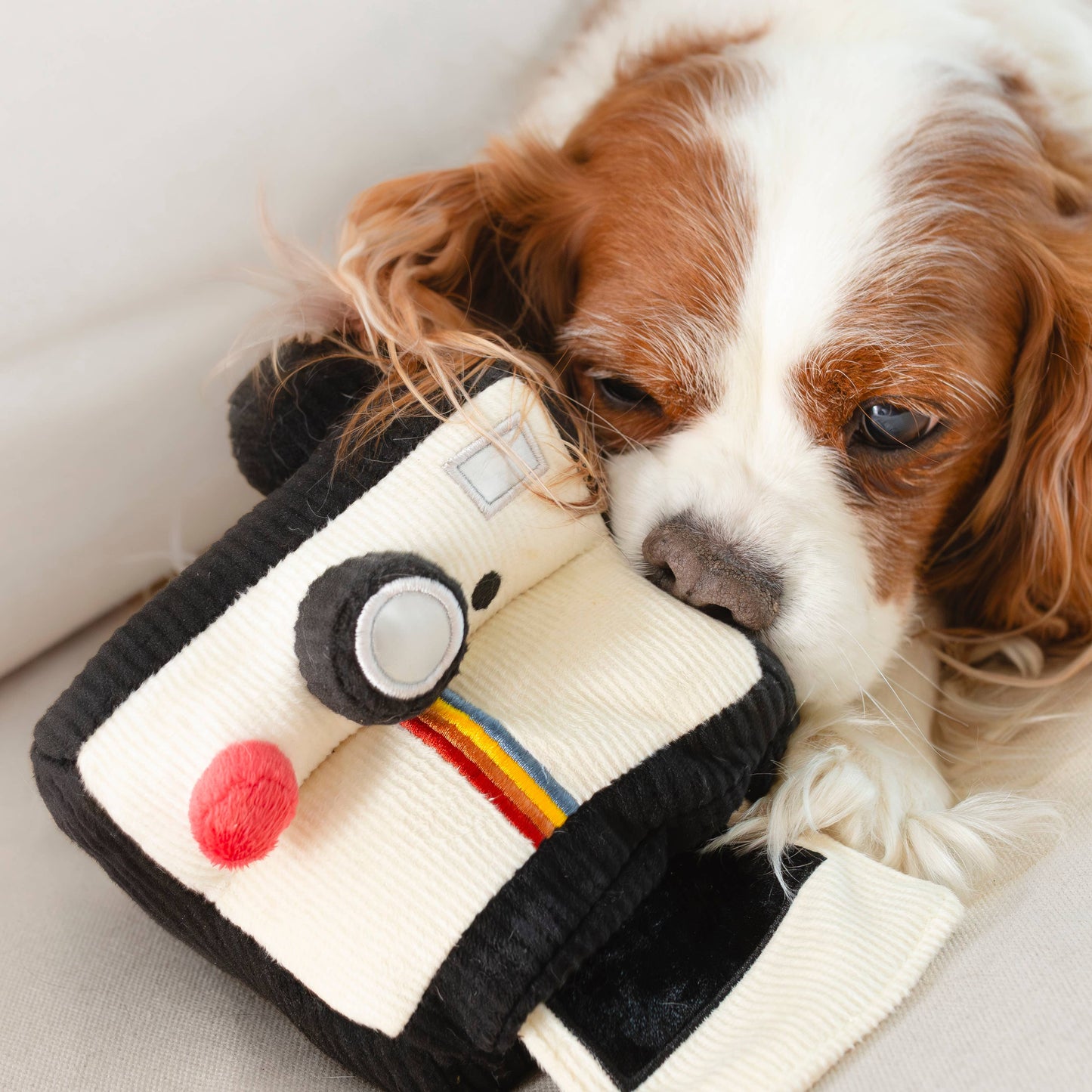 INSTANT CAMERA // ENRICHMENT DOG TOY // SNUFFLE TOY
