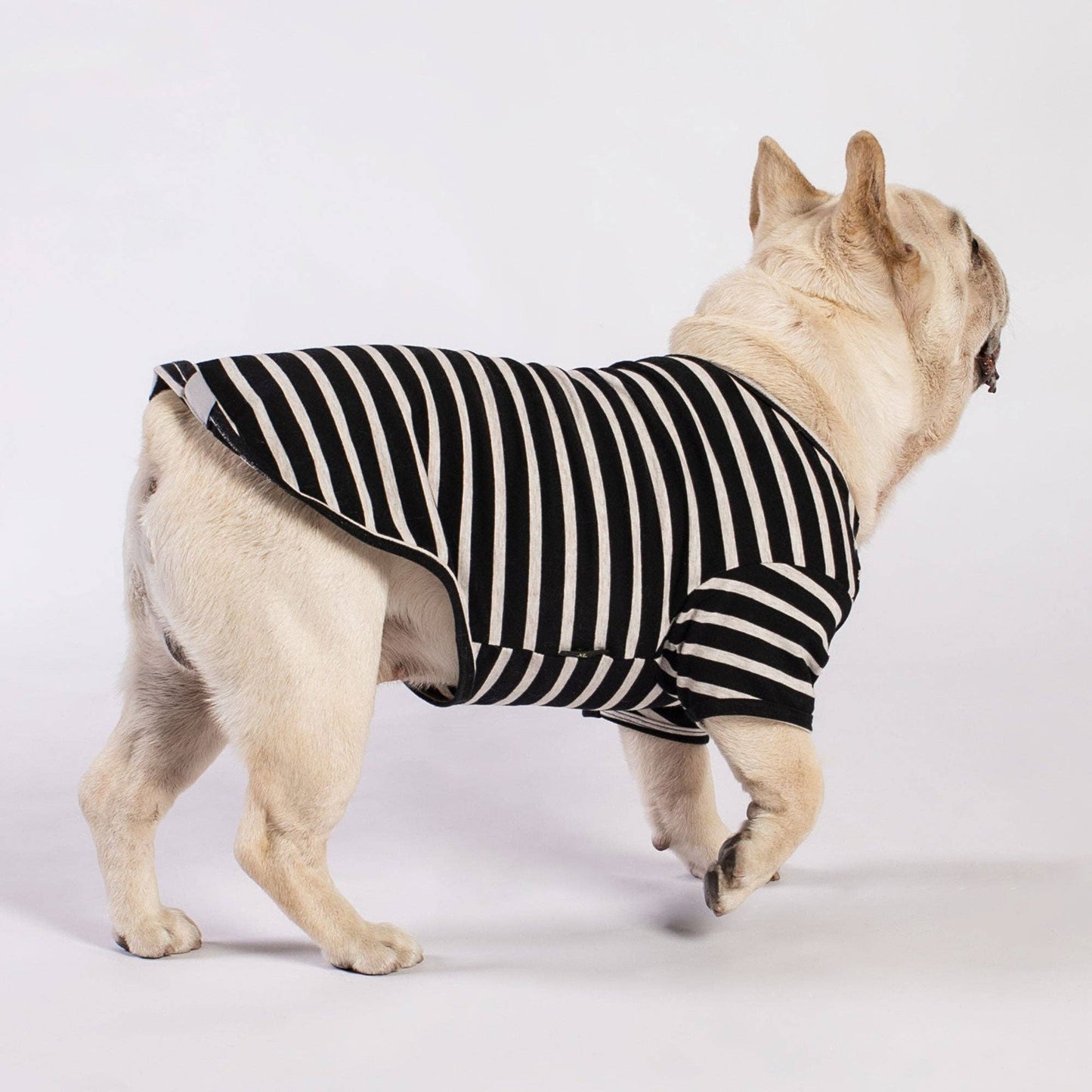 3 Pack Color Block Striped Shirt