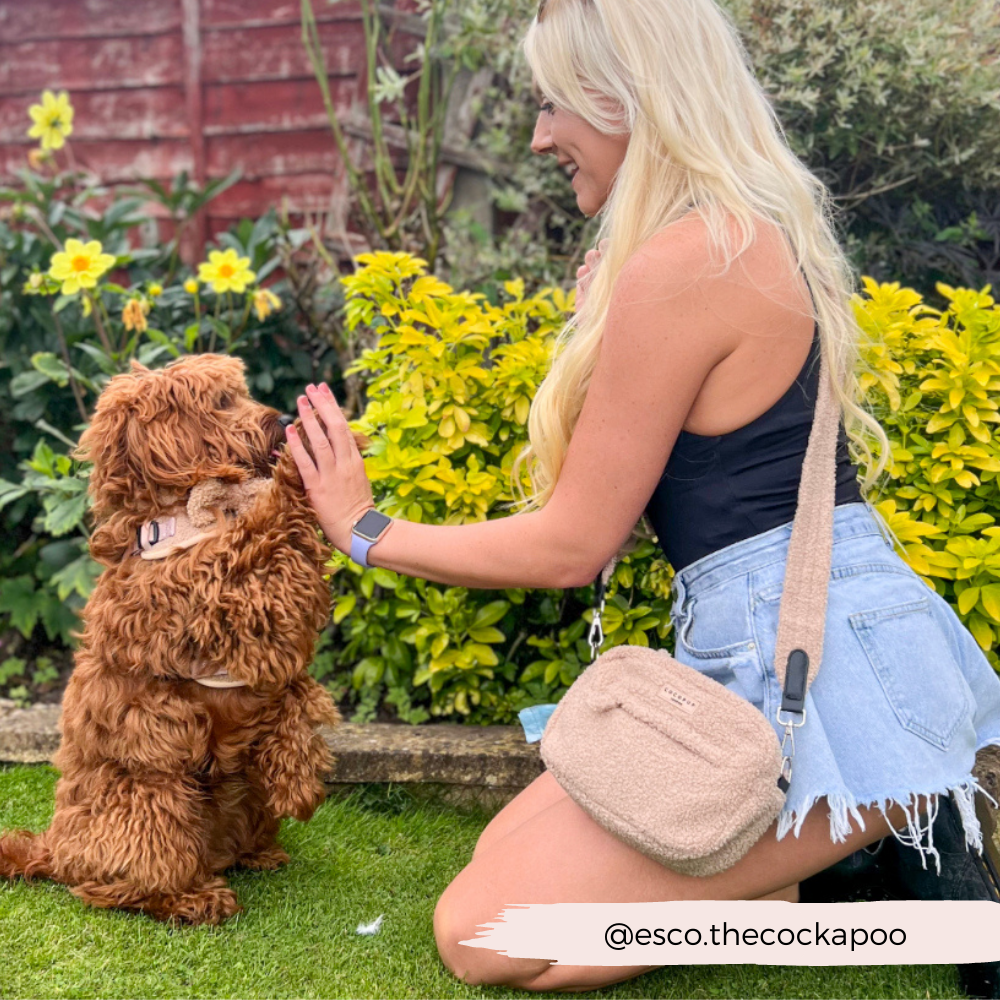 Dog Walking Bag - Teddy Rupert